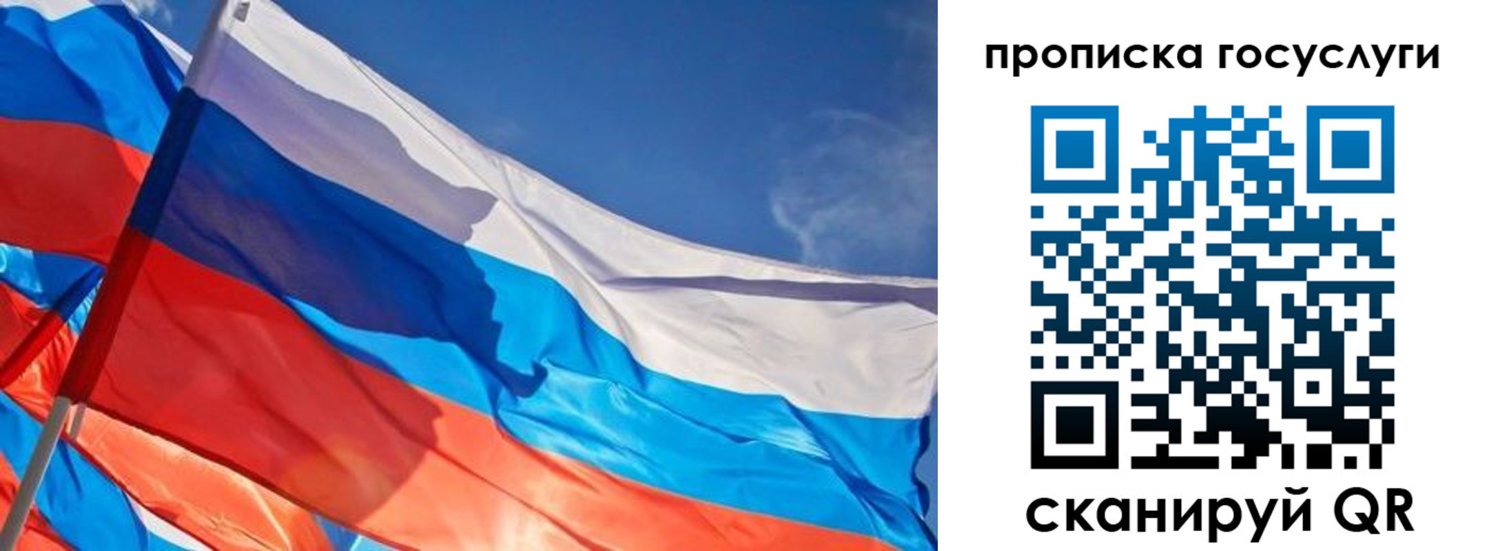 прописка 2025 в Сафоново